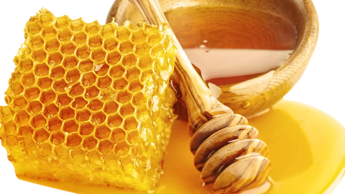 Почитаме Св. Харалампий Чудотворец - Ден на пчеларя